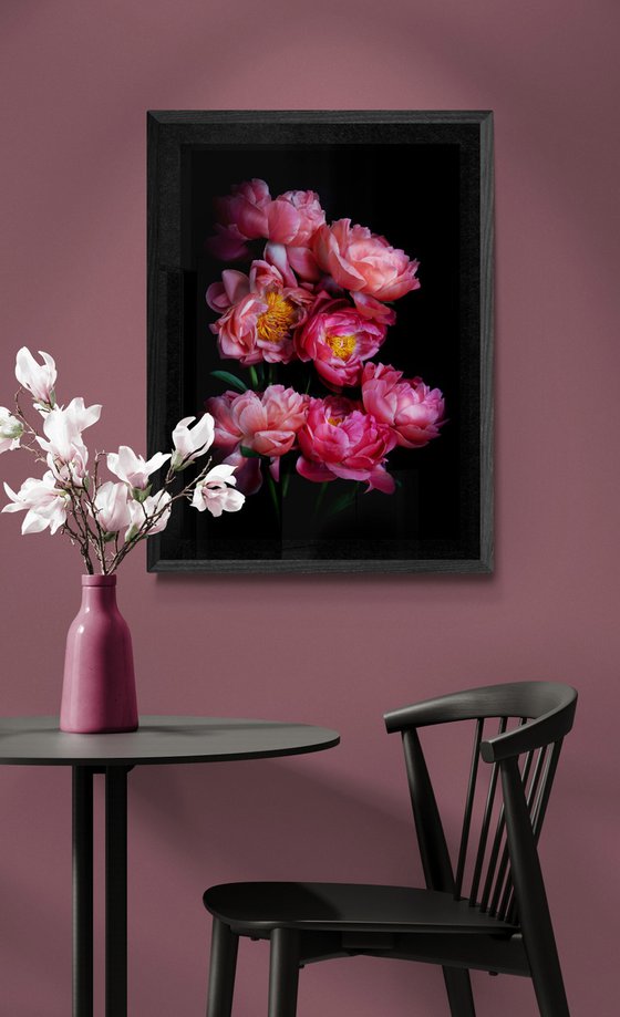 Paeonia ''Coral Sunset'