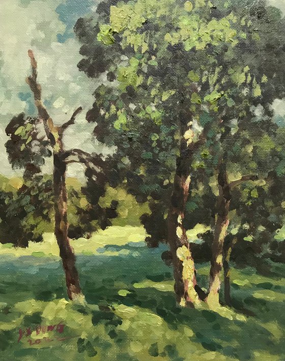 Original Oil Painting Wall Art Signed unframed Hand Made Jixiang Dong Canvas 25cm × 20cm Sunshine in the Woods landscape Small Impressionism Impasto