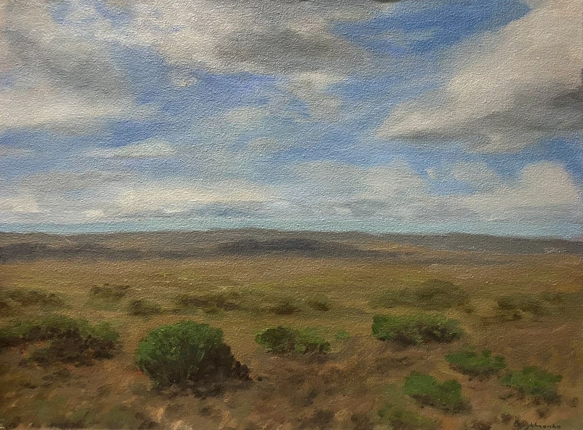 Impressionistic Landscape Oil Painting By Bohdan Vykhrenko, 16 X 12, Green Plain, Original Artwork