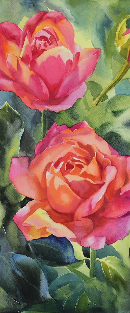 Roses#5 by Yurii Pashkov