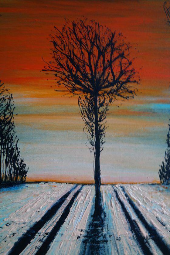 The Tree lines - Fields and Colors Series