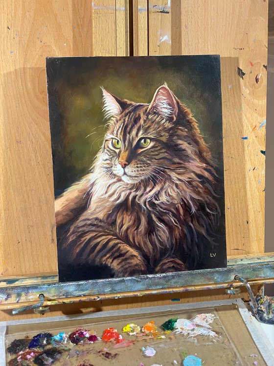 Majestic Maine Coon cat with green eyes