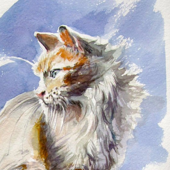 Sitting cat II