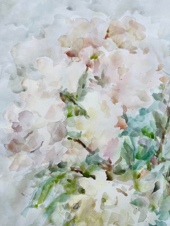 Peonies 50x65 cm 2025