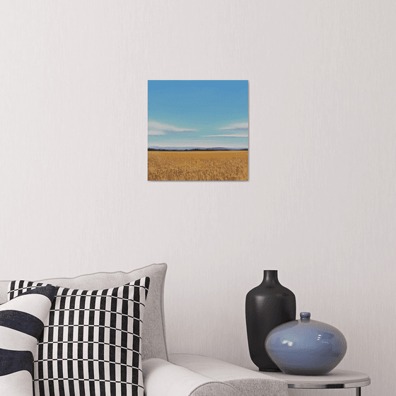 Wheat Field - Blue Sky Landscape