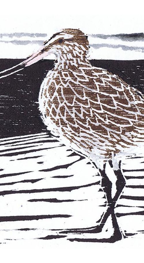Bar Tailed Godwit, 29/40 by Julia Wakefield