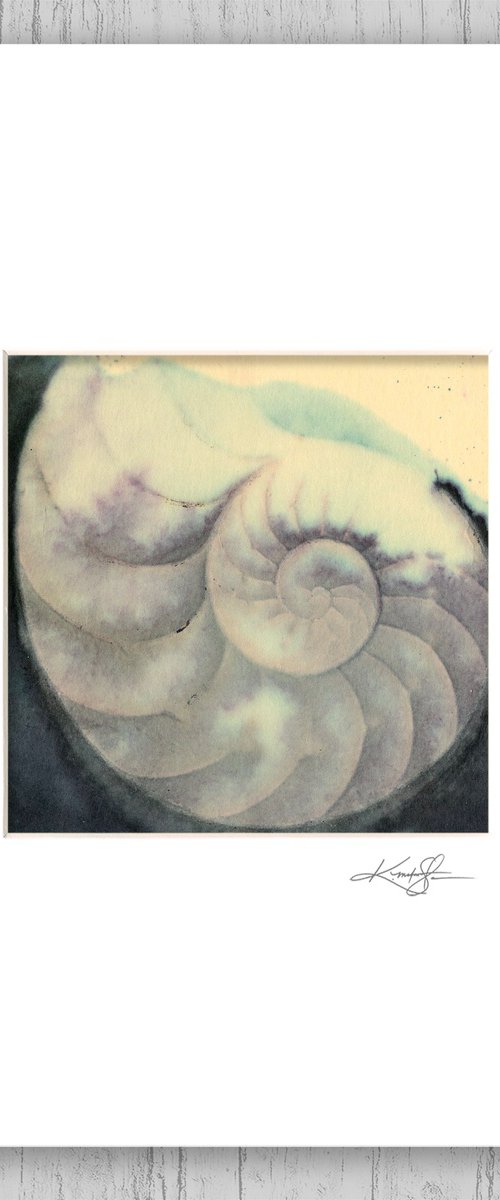 Nautilus Shell 506 by Kathy Morton Stanion