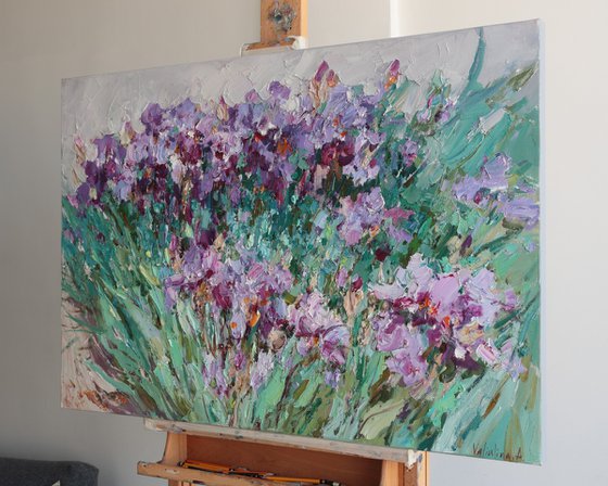 Irises