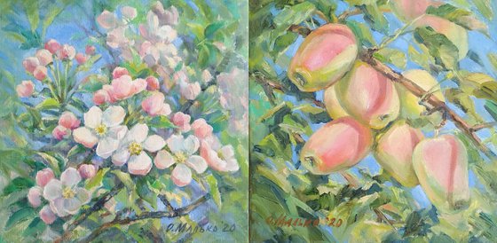 Two seasons. Blooming and reaping / Apple tree flowers and fruits. Spring and fall. Original art work