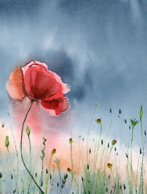 Poppies  -  Original Watercolor Painting by Olga Shefranov