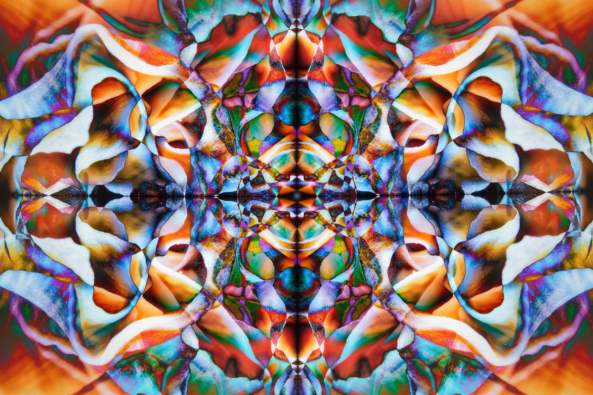 Organic Photograph , Hypnotic Sensory Experience By Inna Etuvgi, 25 X 17, Artwork For Sale On Artfinder