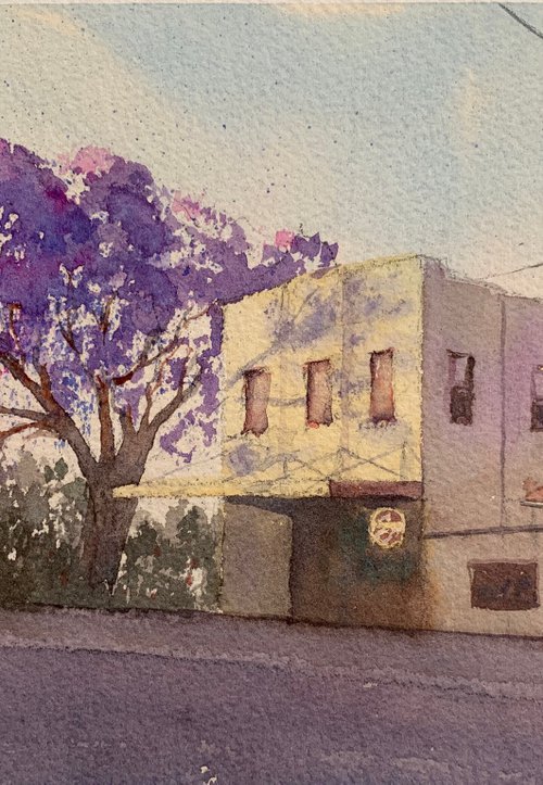 Jacaranda season by Shelly Du