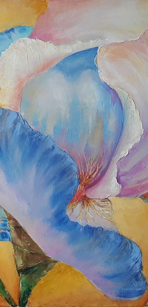 Iris on yellow by Mary Voloshyna