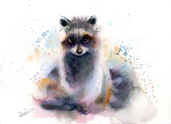 Raccoon