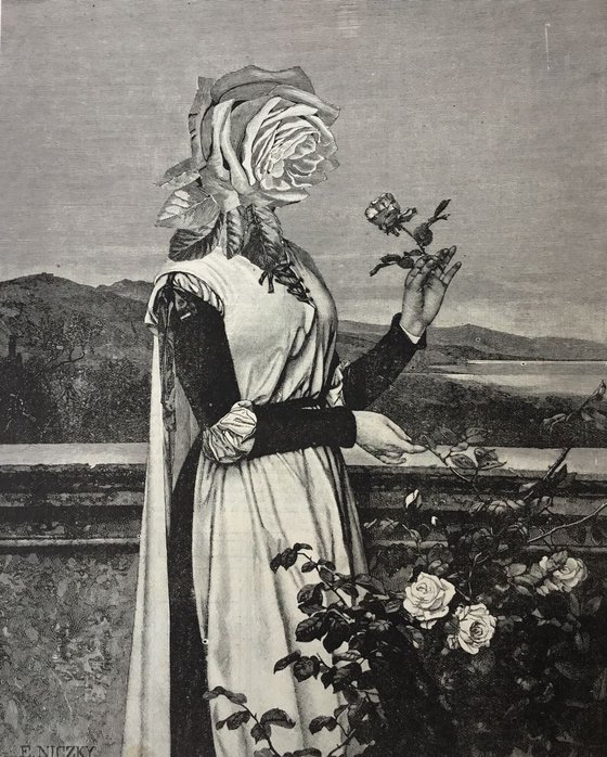 The Scent of a Rose