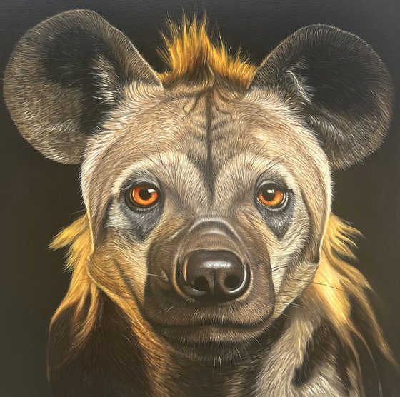 The Gaze of the Hyena