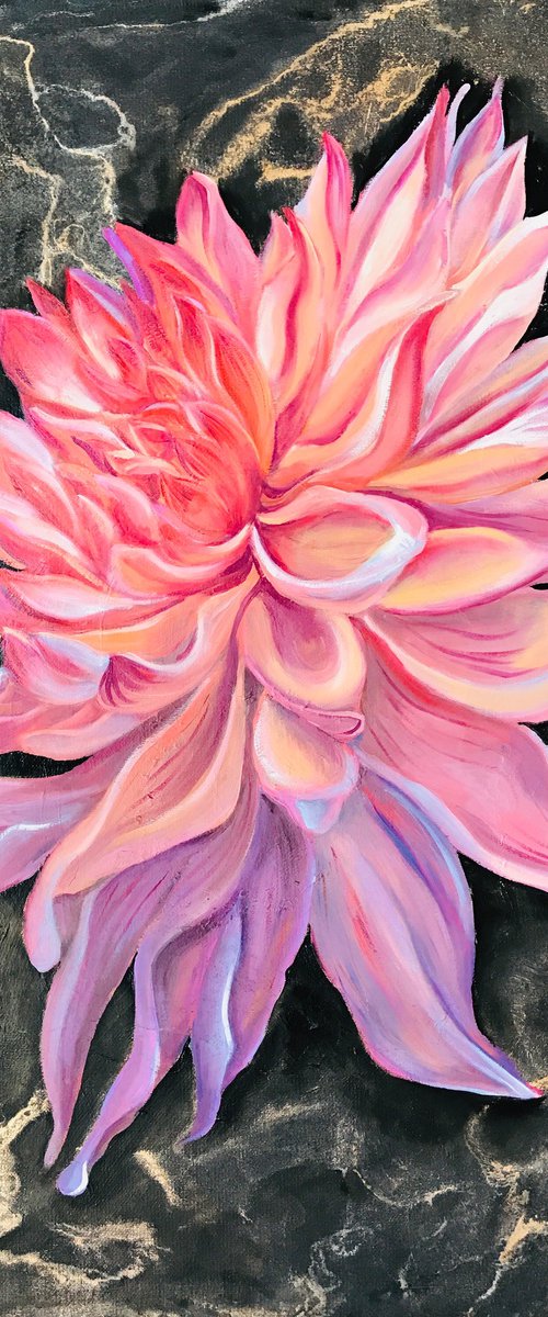 Shining Dahlia by Olga Volna