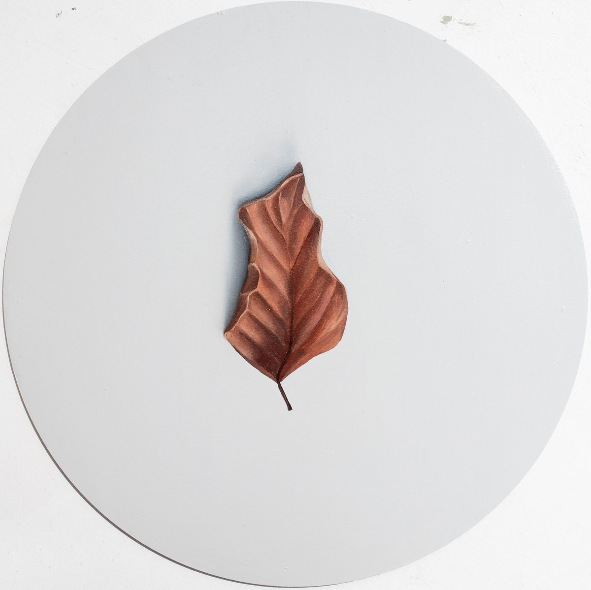 Nature doesn’t need museums (a leaf) 5 by Gennaro Santaniello
