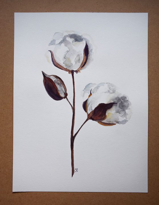 Set of 2 COTTON bolls watercolor paintings, Flowers abstract, Shabby Chic wall art