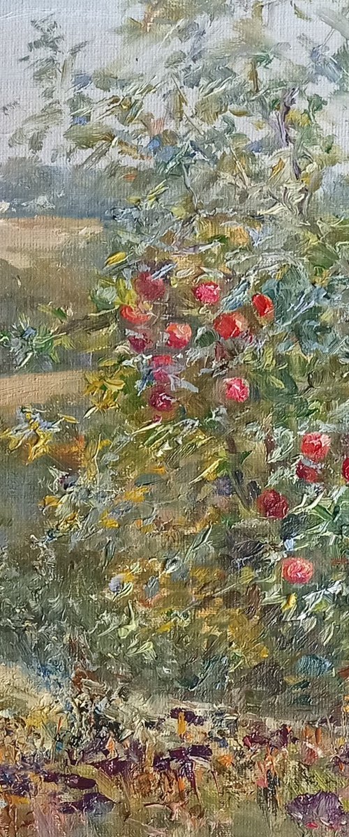 Red apples. Abandoned garden by Olha Malko