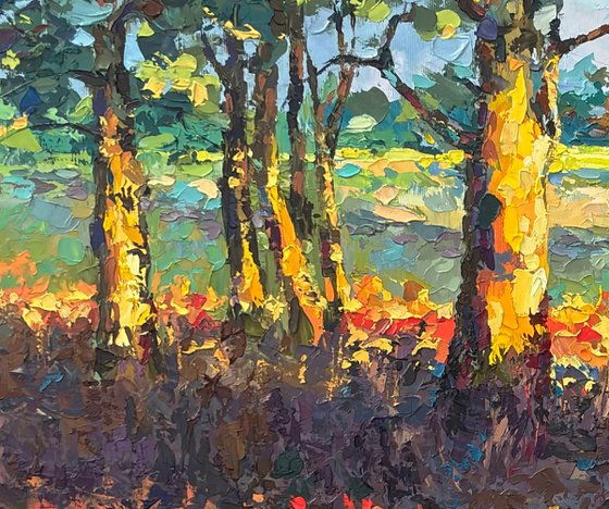 Golden Hour of Early Autumn