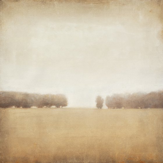 Field And Trees 220316, earth tones tonal landscape with trees