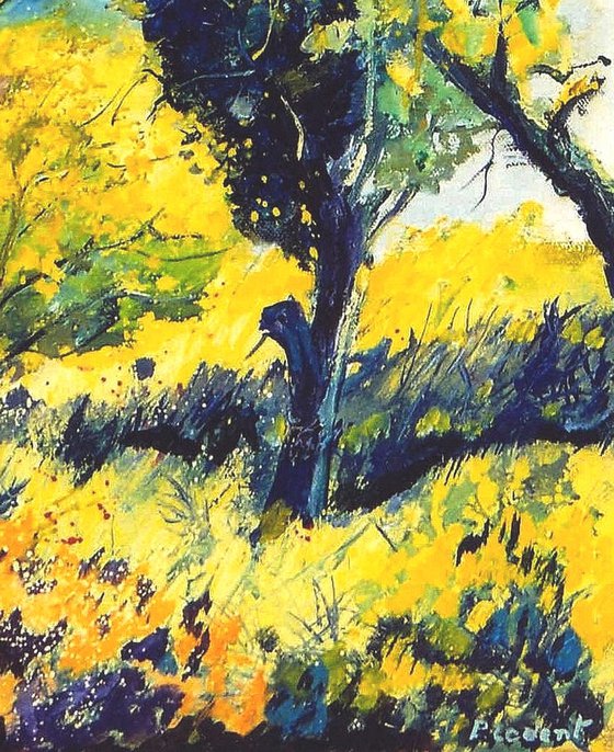 Orchard