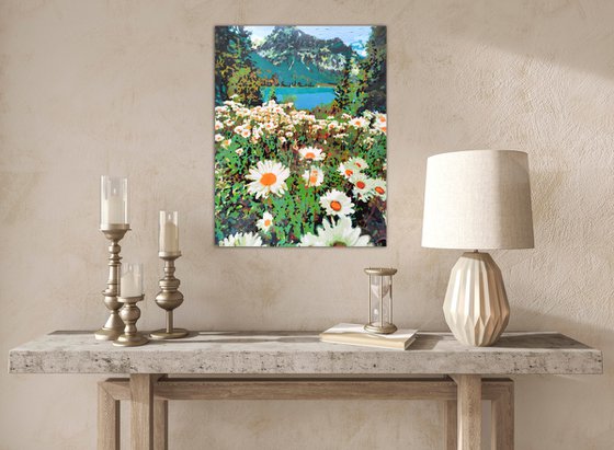 Daisies field in mountains
