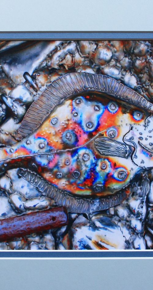 Metallic fish by Robin Clarke