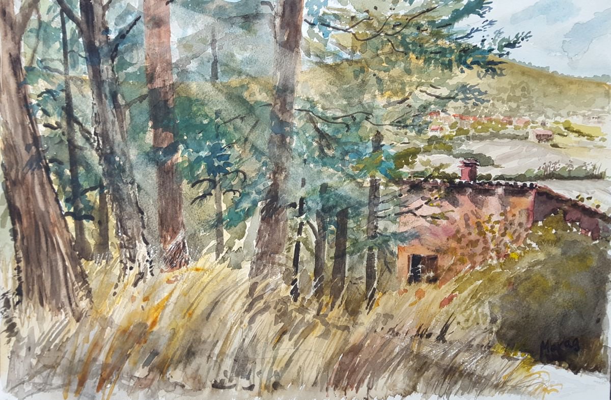 Impressionistic Landscape Watercolour By Morag Paul, 24 X 20", Last Summer At La Casa, Italy, Original Artwork