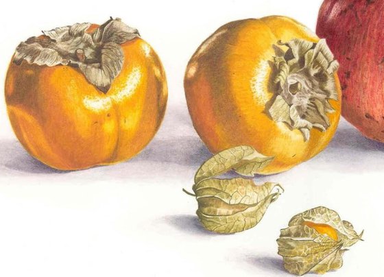 Pomegranate and Sharon Fruit