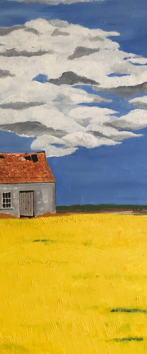 Yellow Fields by MAGGIE  JUKES
