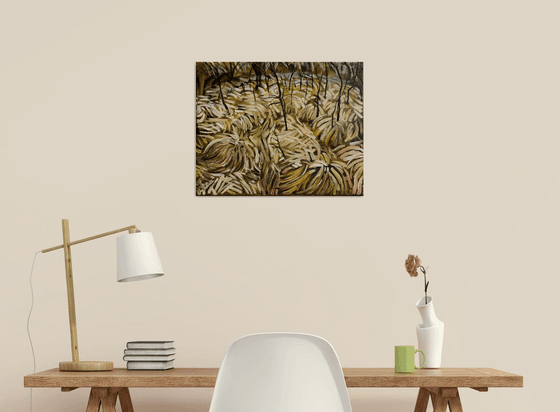 Dry Grasses