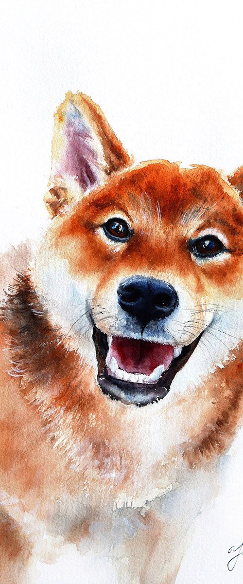 Shiba Inu Puppy - Original Dog Portrait in Watercolor by Yana Shvets