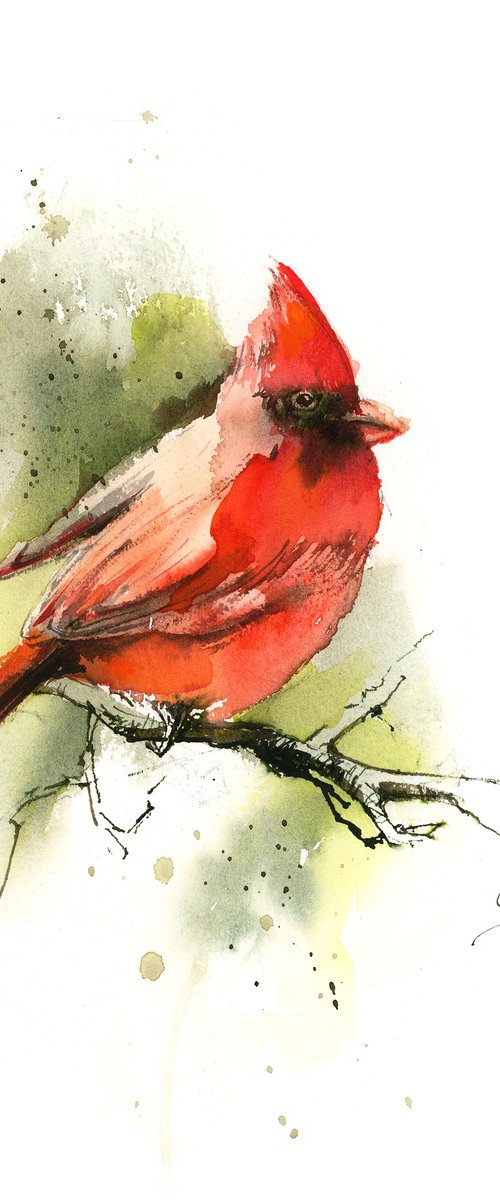 Northern Cardinal Bird by Sophie Rodionov