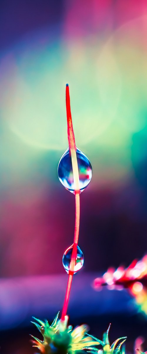 Be Bold - You are beautiful! by Inna Etuvgi