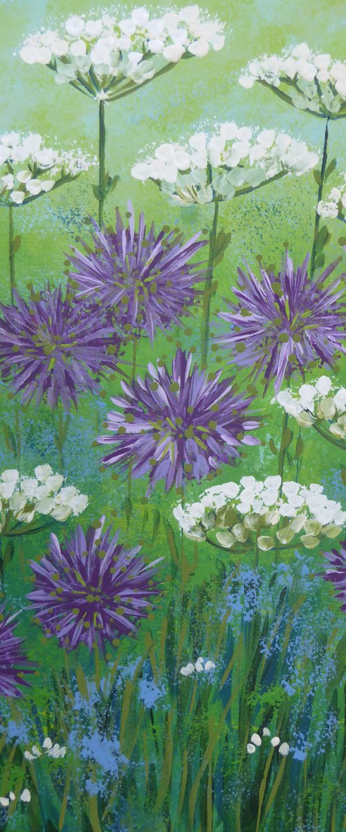 Alliums and Cow Parsley by Elaine Allender
