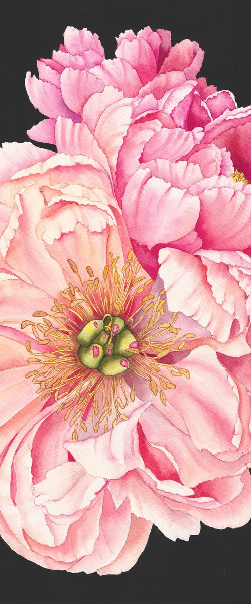 Whispering Peonies by Oksana Abdukadyrova