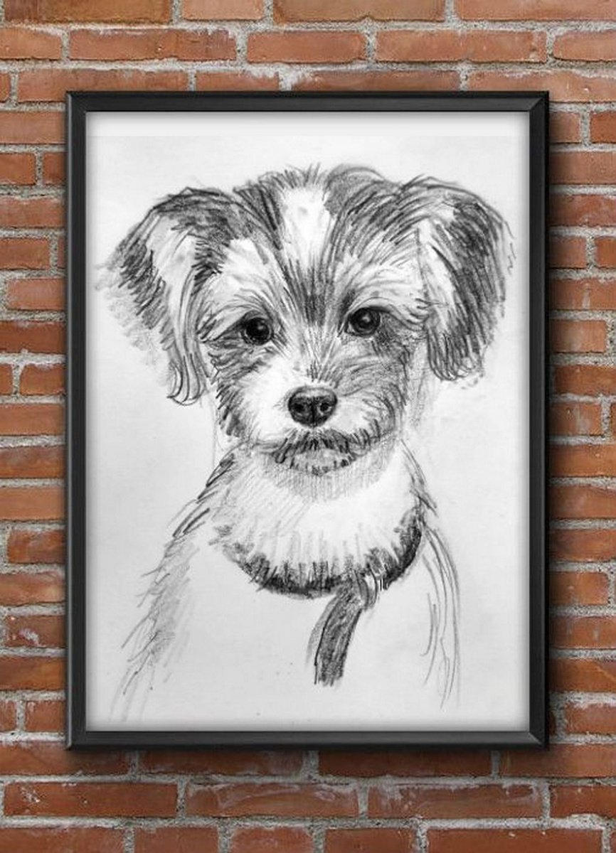 BiewerTerrier Pet Dog Pencil sketch on paper A4 by Art by Aashaa