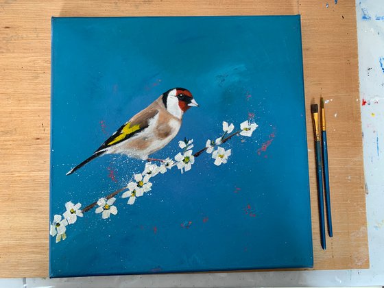 Goldfinch on Cherry Blossom