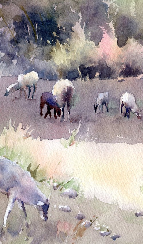 Cretan sheep Watercolor Small version by Yulia Evsyukova