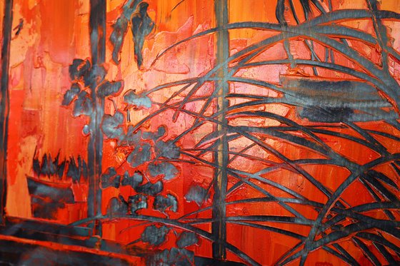 Where the Light comes from