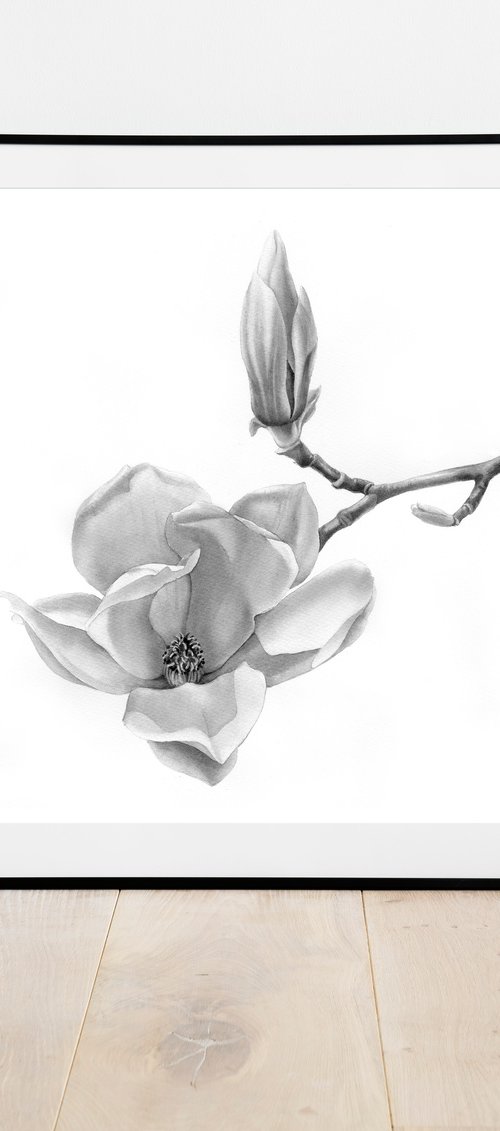 Magnolia flower and bud on tree, botanical illustration by SVITLANA LAGUTINA