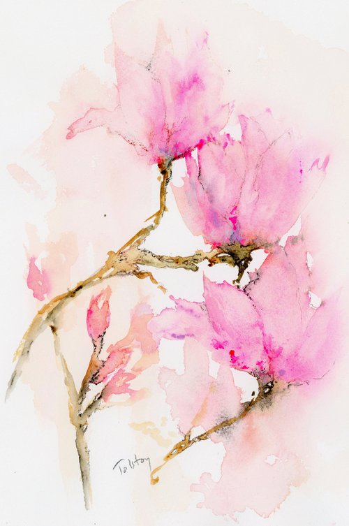 Magnolia Blossoms by Alex Tolstoy