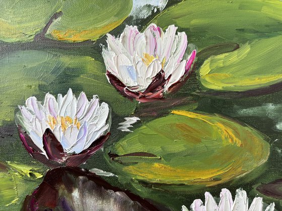 Serenity of Water Lilies