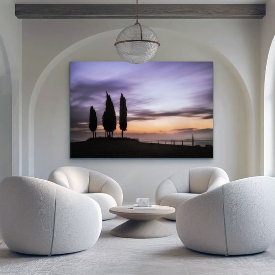 Tuscan cypress trees circle