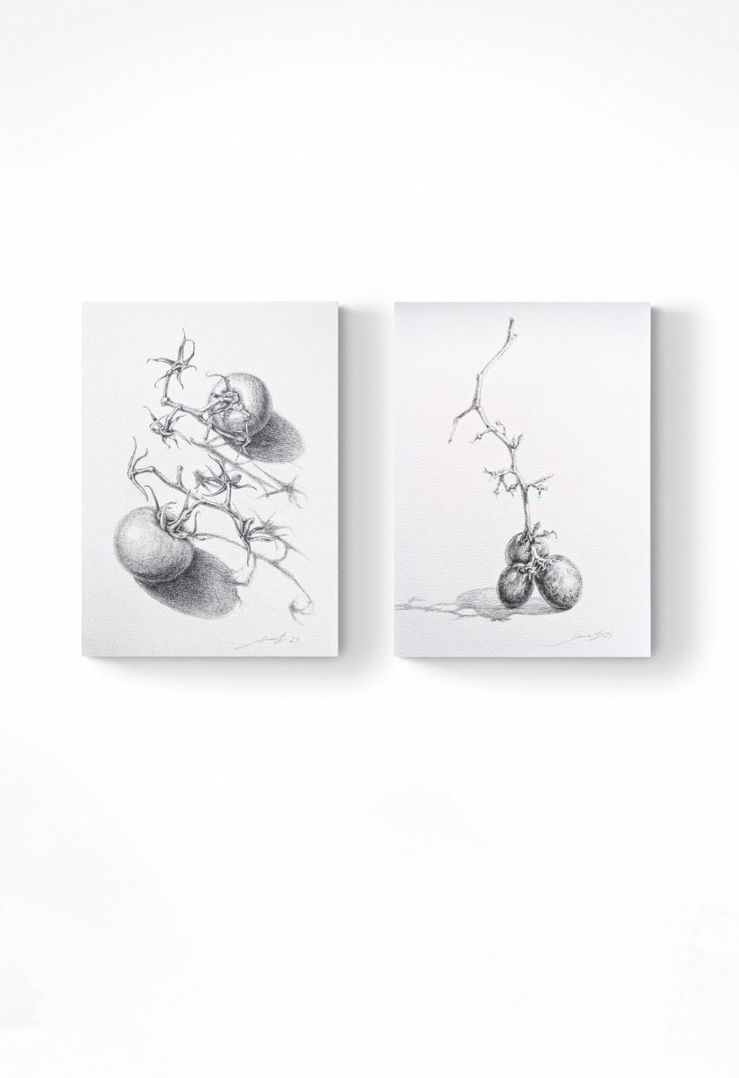 Graphic Still Life Pencil Drawing By Yana Dulger, 6 X 8", Diptych Still Life, Original Artwork