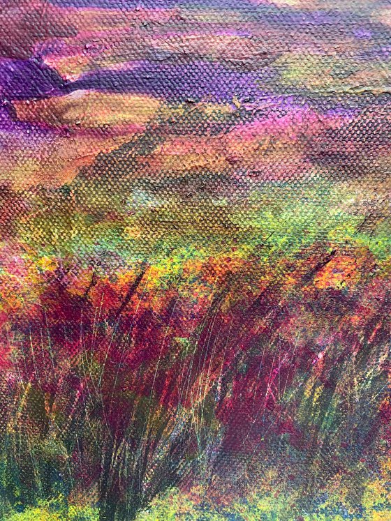 Scottish Heather Landscape