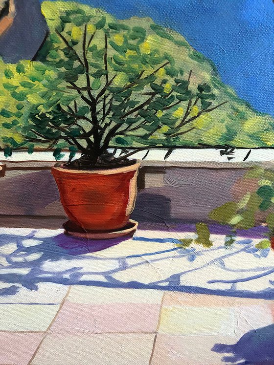 Mediterranean Terrace in Bloom