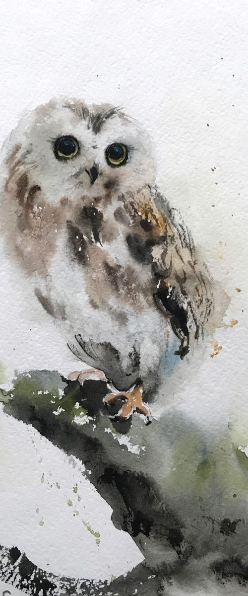 Owl on a branch - 20 x 29 cm by Eugenia Gorbacheva